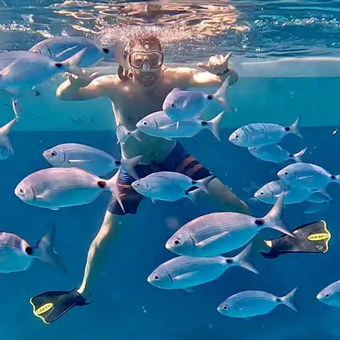 Snorkeling-Calanques