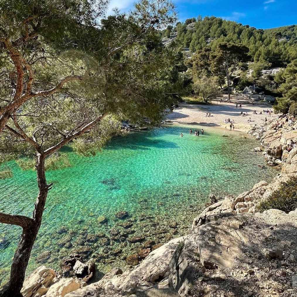 Plage sauvage de Port-Pin aux eaux émeraude bordée de pins d'Alep.