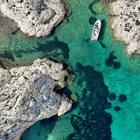 visite calanque frioul nette