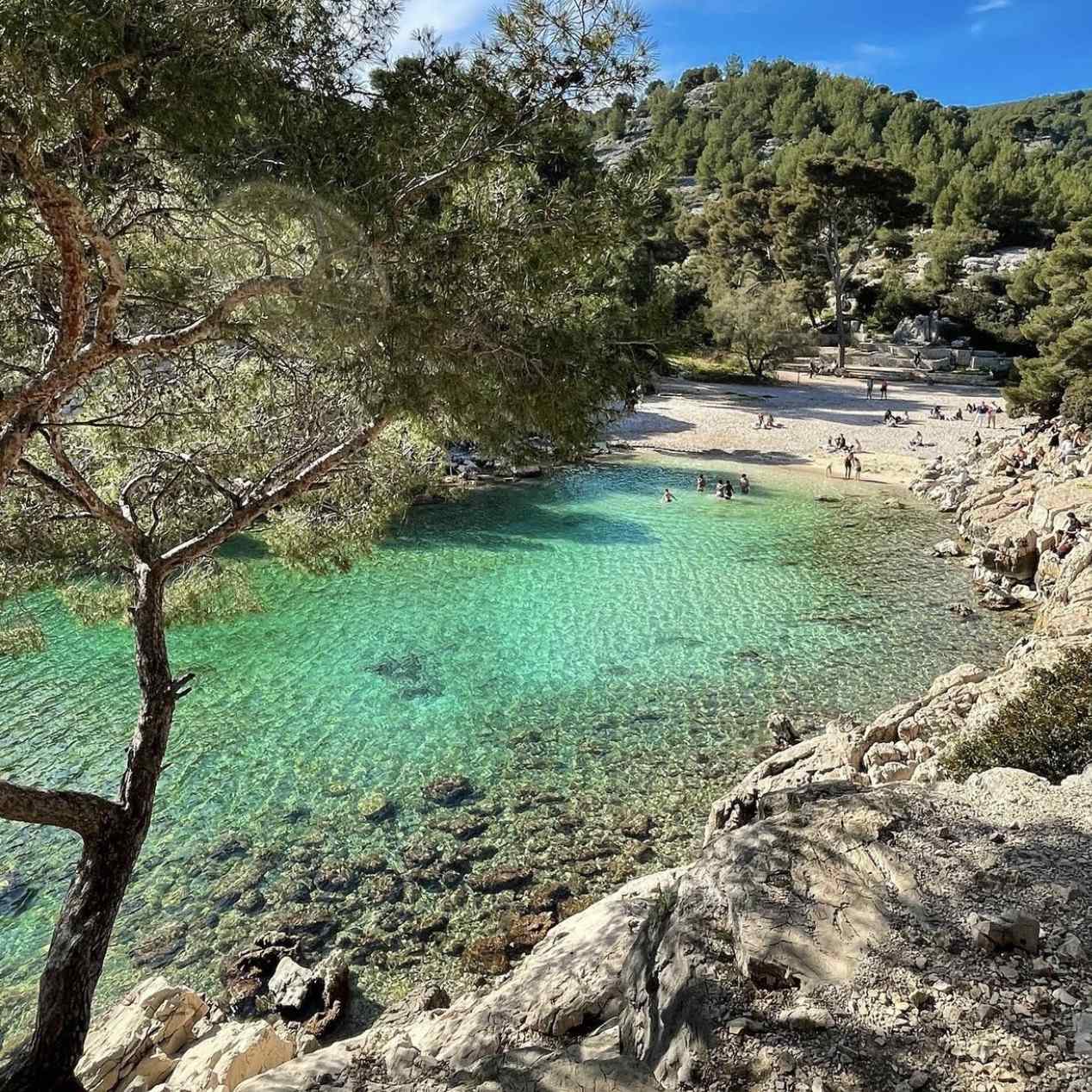 Plage sauvage de Port-Pin avec ses eaux émeraude et ses pins parasols.