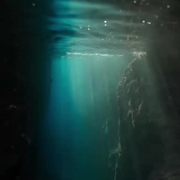 Baignade Circuit Calanques